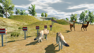 Wolf Dog Simulator Cartaz