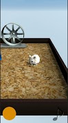 Hamster3D Screenshot 1