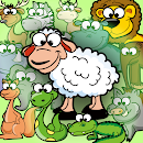 APK Animal Club Sheep a Sheep
