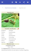 Insect pests اسکرین شاٹ 2