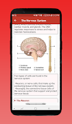 Human Body System screenshot 6