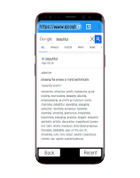 Wire TUN Browser AdBlock screenshot 1