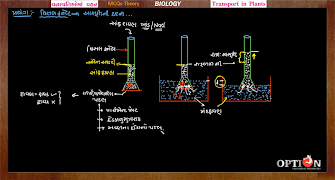 OPTION Learning App Std 11 Sci ポスター