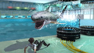 4 Schermata Whale Shark Attack Simulator