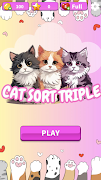 Cat Sort Triple Cartaz
