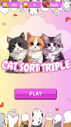 Cat Sort Triple Affiche