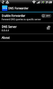 DNS forwarder gönderen