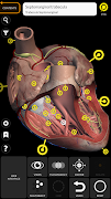 Anatomy 3D Atlas screenshot 2
