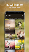 Dog Wallpapers PRO ภาพหน้าจอ 1