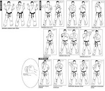 Learn Karate For Beginner 海报