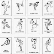 Poster Tecniche di base del movimento di karate