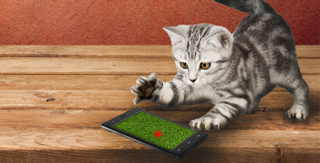 Cat laser sounds! screenshot 2