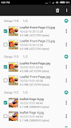 Duplicate Cleaner Plakat