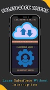 Salesforce Bricks screenshot 2
