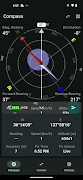 Geodetic Compass ポスター