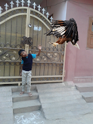 Birds Camera Frames स्क्रीनशॉट 2