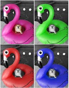 Partial Color Master - Editor capture d'écran 1