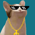 PopCat Beats