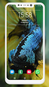 Betta Fish Wallpaper screenshot 2