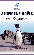 5 Schermata Sasol Voëls vir Beginners