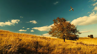 Nature Backgrounds HD screenshot 5