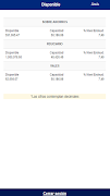 ASEIBM screenshot 2