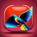 Editor - заказать видеомонтаж APK