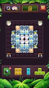 Block Puzzle Classic Game 2022 海报