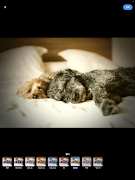 Timer Filter Camera ภาพหน้าจอ 7