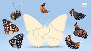 Animalogy screenshot 5