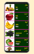 Learn Urdu From Hindi screenshot 6