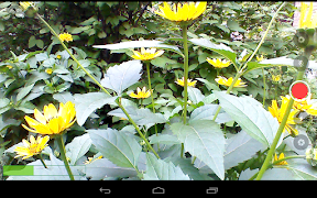 Larix Broadcaster: Live Stream screenshot 3