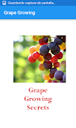 Grape Growing Secrets ポスター