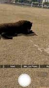 Explore with AR screenshot 5