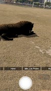 Explore with AR Screenshot 5