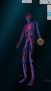 Vascular system تصوير الشاشة 5