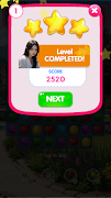 FlowerRiddle screenshot 3