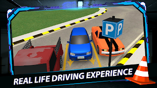 Driving School and Parking скриншот 5