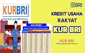 Kredit KUR BRI Panduan Lengkap 截圖 4