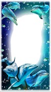 Dolphin photos Frames screenshot 6