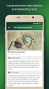 Entomologas screenshot 1
