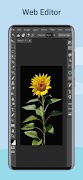 Photopea screenshot 1