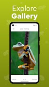Frog Identifier - Frogium screenshot 3