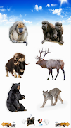 Animal Sounds screenshot 2
