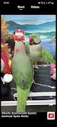 Funny Pets screenshot 7