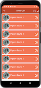 Pigeon Sounds screenshot 2