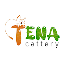 متجر تينا كاتري APK
