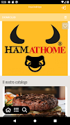 Ham At Home screenshot 4
