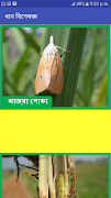 ধান বিশেষজ্ঞ । スクリーンショット 5