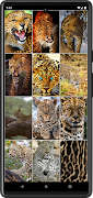 Leopard Wallpapers স্ক্রিনশট 1